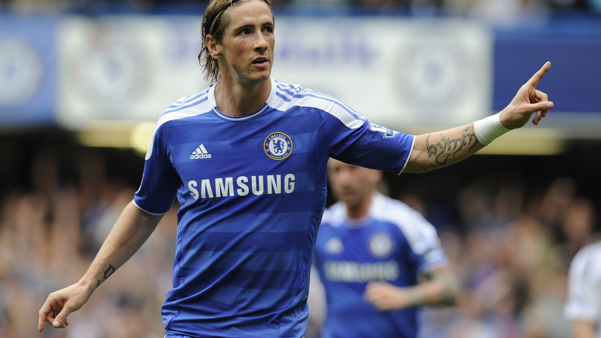 潜力新人：未来五年最值得关注的“黑马新秀”，潜力股和黑马是一个意思吗