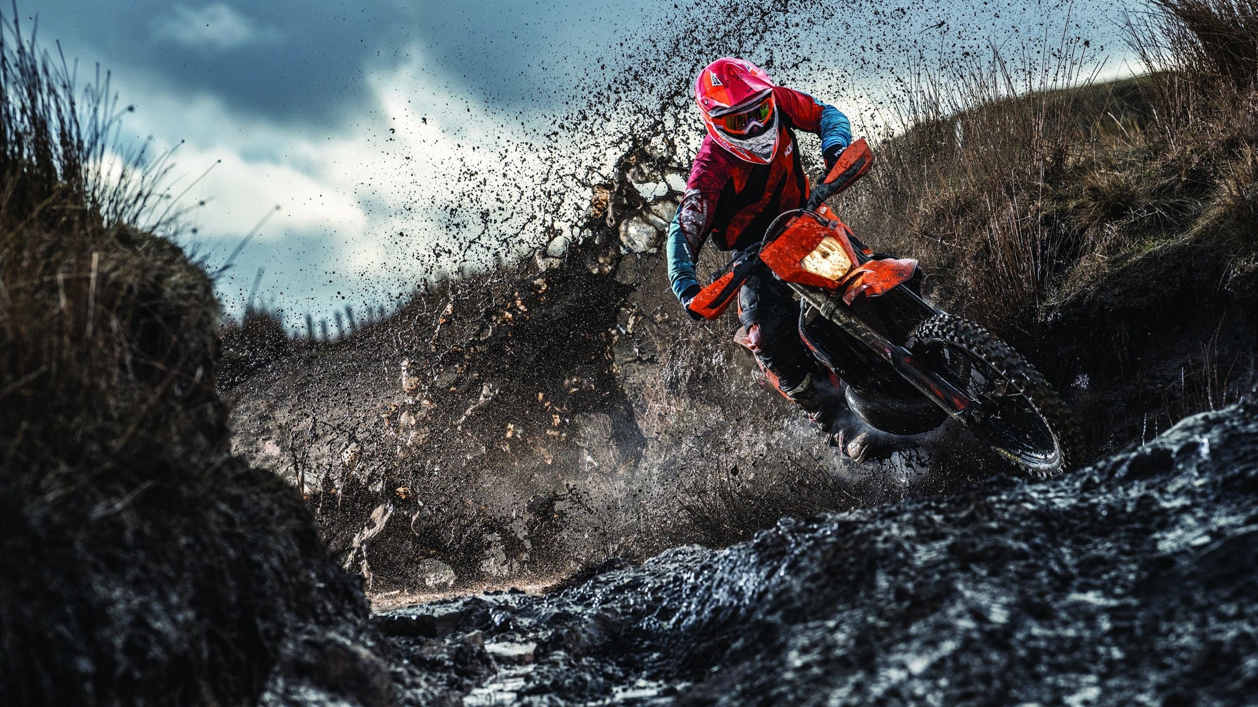 球迷热议：今年最具潜力的冠亚冠热门队伍，亚冠2021球队